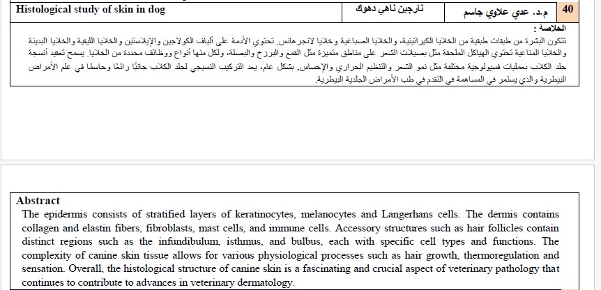 بحث 1